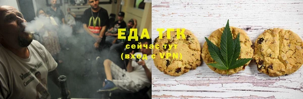 стаф Пересвет