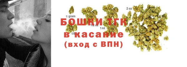 стаф Пересвет
