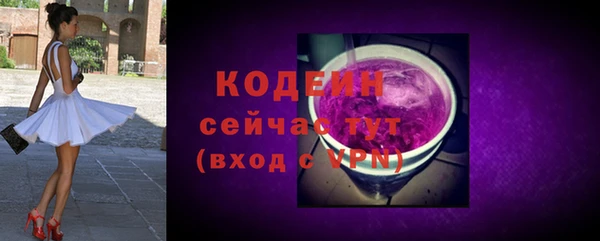 стаф Пересвет