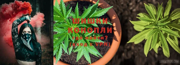 стаф Пересвет