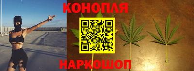 спиды Бийск