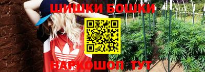 прущая мука Беслан