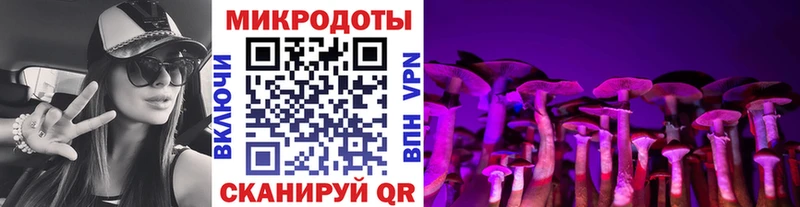 KRAKEN как войти  Сатка  Галлюциногенные грибы Cubensis  купить  сайты 