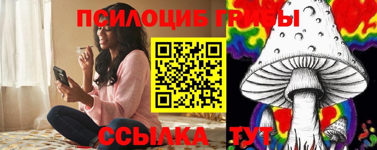 Псилоцибиновые грибы Psilocybine cubensis  как найти наркотики  Вход с VPN  Сатка  Галлюциногенные грибы GOLDEN TEACHER 