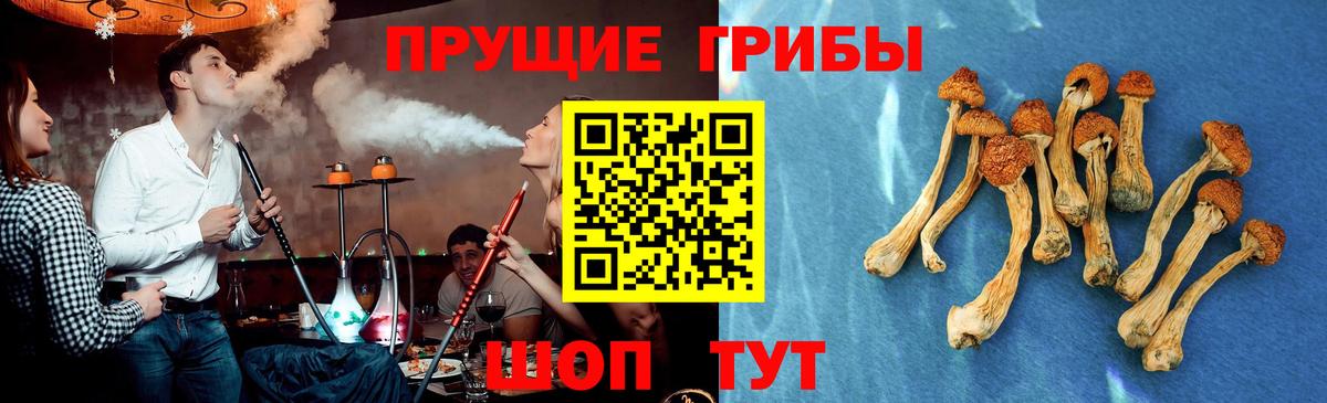 Псилоцибиновые грибы Cubensis Сатка